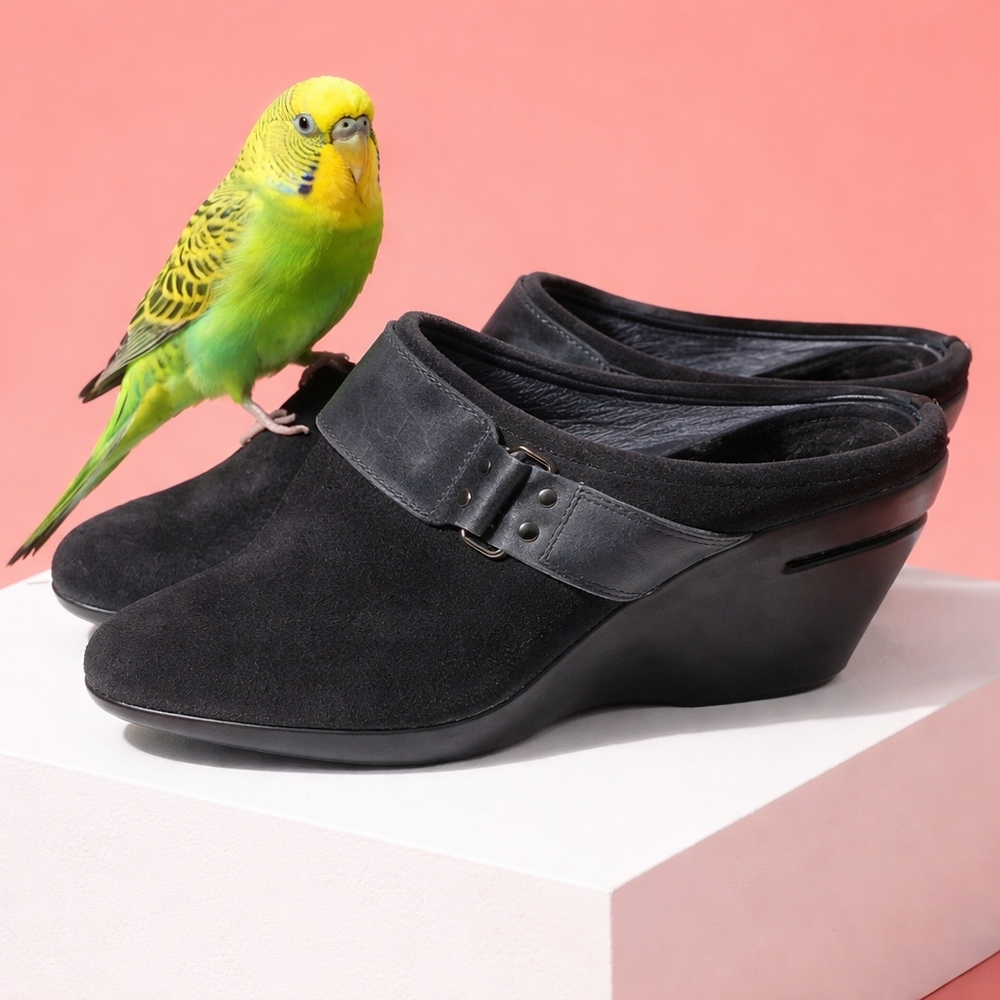 Cole Hahn Black Suede Mules Size 6.5B